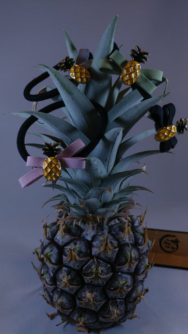 Pineapple Ponytail Holder Set